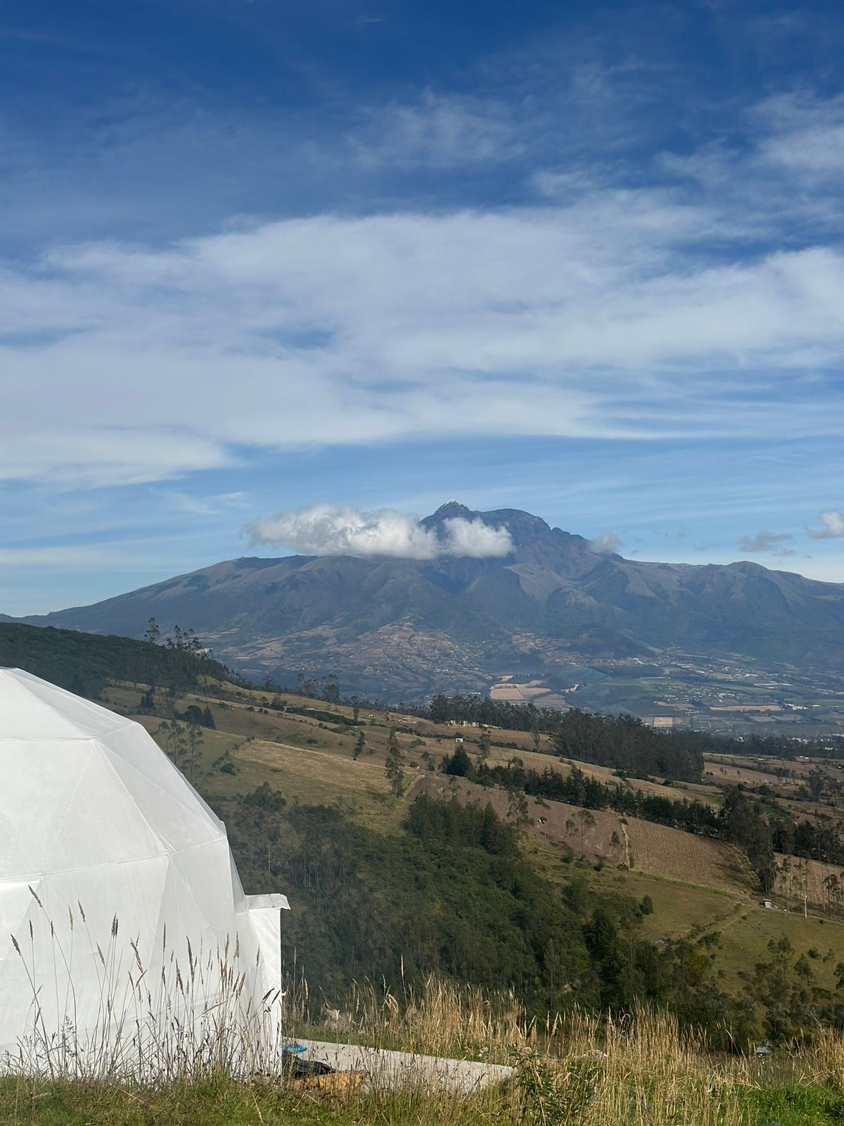 WhatsApp Image 2026-03-26 at 5.30.14 PM